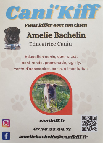 Cani-kiff - Éducation canine